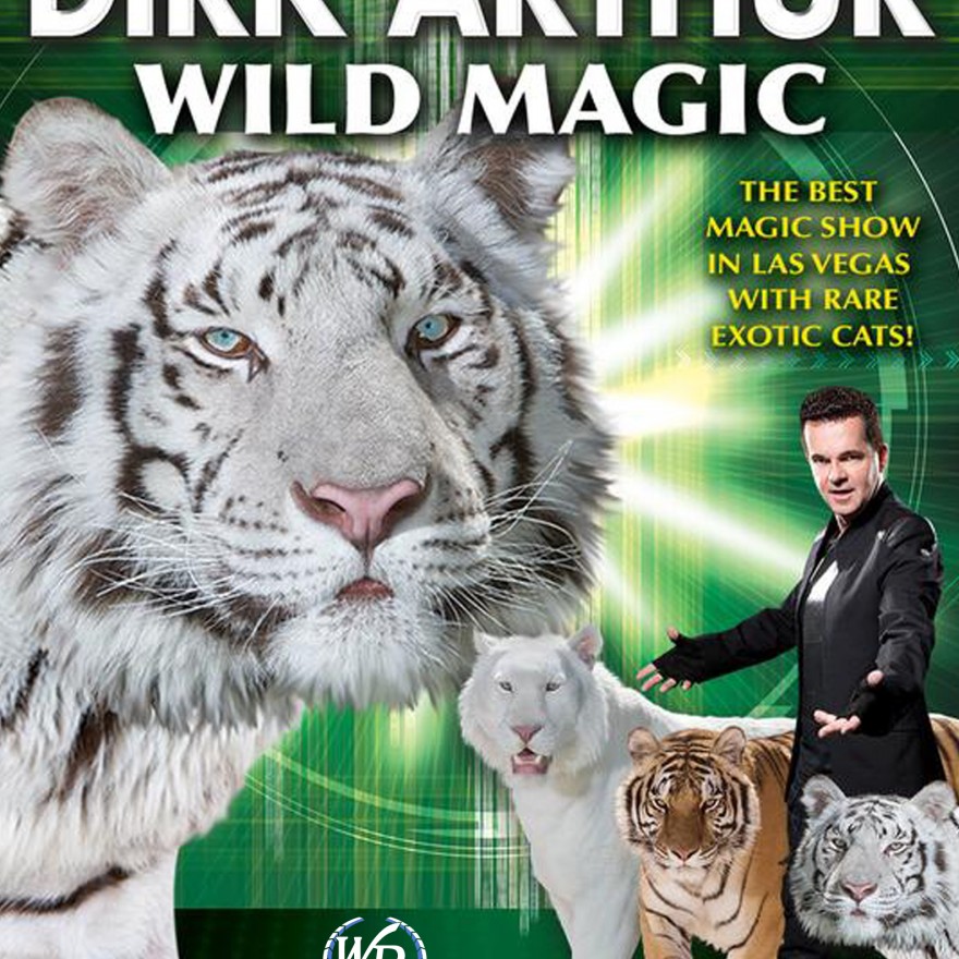 Theatrical Illusions | Illusion Projects INC